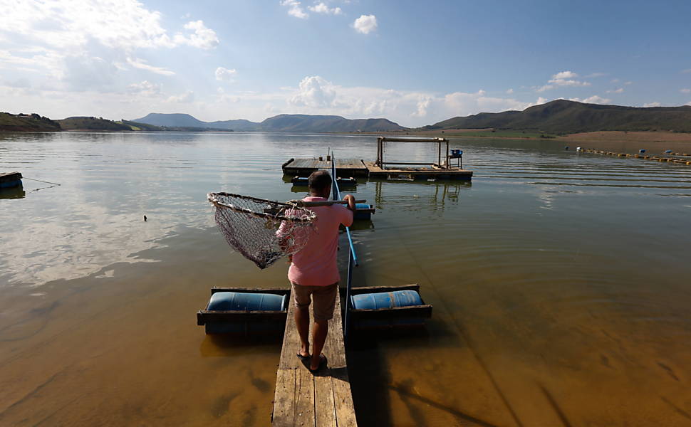 Aldenir Costa recolhe peixes em Carmo do Rio Claro (MG)