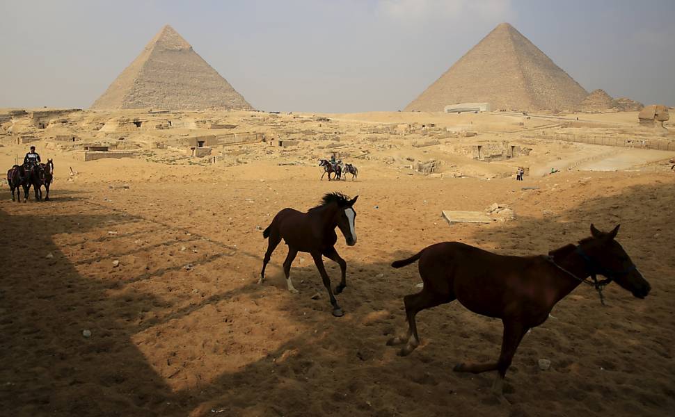 Cavalos no Egito