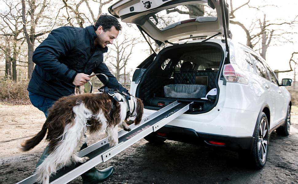 Carro adaptado para cães tem rampa de acesso, ducha e secador embutidos