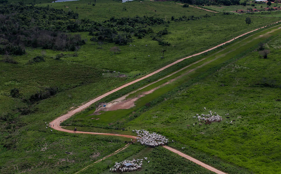 Ibama detectou também que gado foi transferido da Vale Sereno para outra fazenda da mesma empresa, Café Paraíso