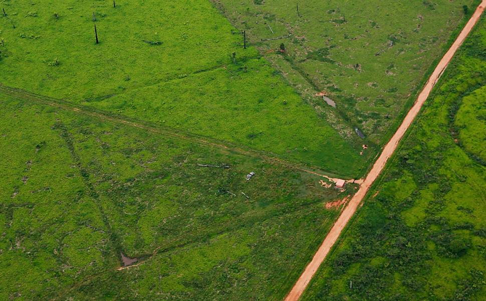 Com formatos como círculos, quadrados e losangos, os geoglifos acreanos começaram a ser identificados há pouco tempo, com o avanço do desmatamento no Estado