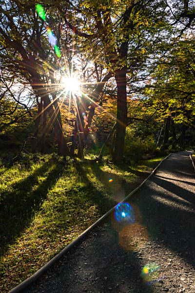 Trilha dentro do Parque Nacional Torres del Paine, na Patagônia chilena