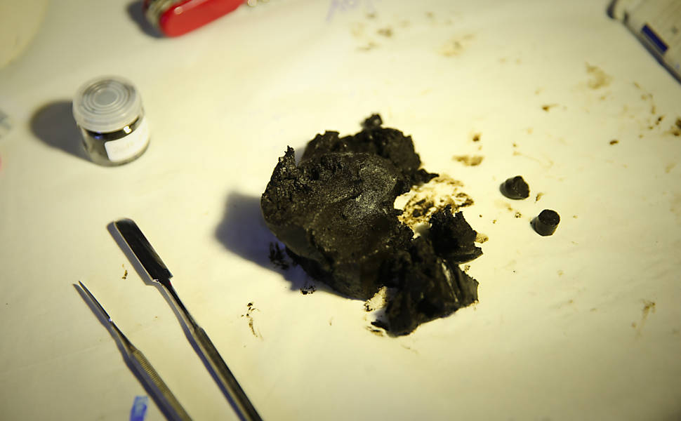 O objetivo do estudo dos testemunhos é entender as mudancas climáticas ocorridas no último milhão de anos