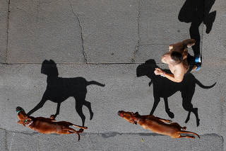 Jogger and his dogs cast shadows as they run in Vienna
