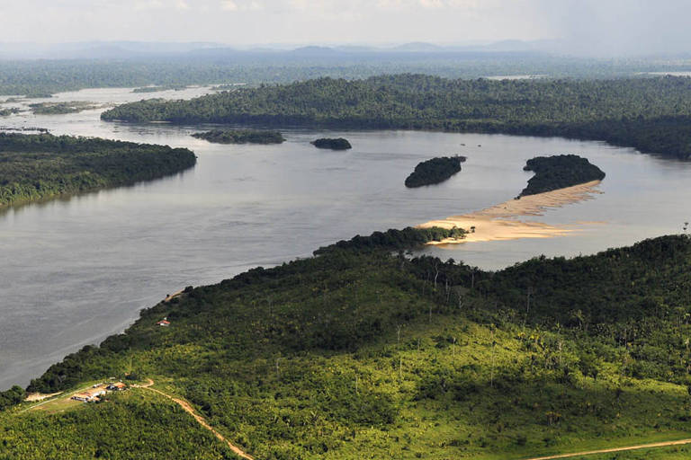 Tripulantes de helicóptero desaparecido na floresta amazônica são resgatados
