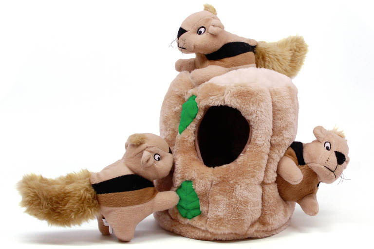 Toca de esquilos e tabuleiro são opções de brinquedos criativos para seu pet