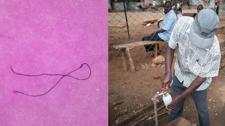 Fibra de plástico encontrada em Jinja, Uganda. Vinte e cinco das 21 amostras coletadas no país continham microplásticos