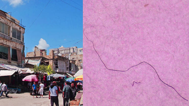 Fibra de plástico encontrada em Beirute, no Líbano. Das 16 amostras coletadas na cidade, 94% continham microplásticos