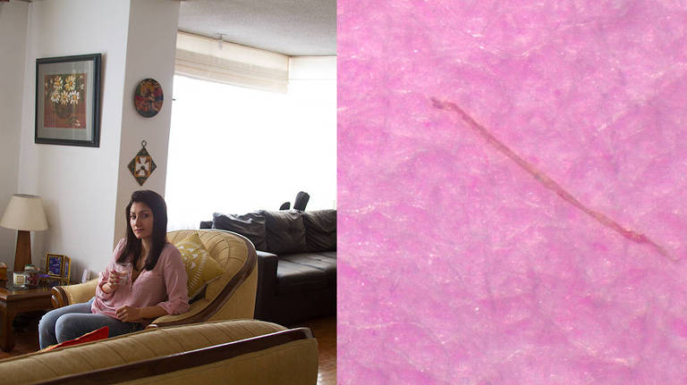 Fibra de plástico encontrada em Quito, Equador. Pesquisadores identificaram microplásticos em 75% das amostras coletadas na cidade