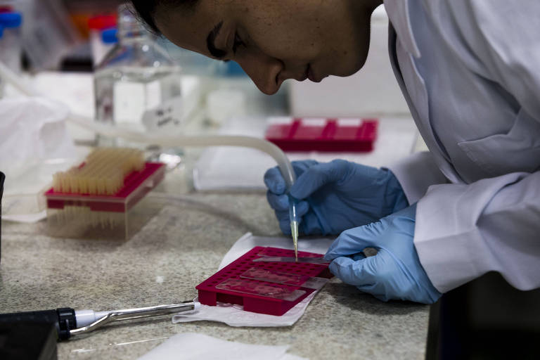 Laboratório de Neurociência da UFRJ, em parceria com o Instituto D'Or