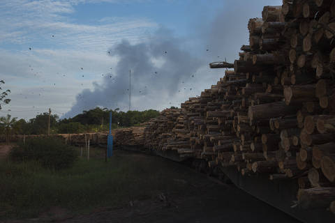 PARÁ, AP, 10.09.2017 - Trem carregado de eucalipto chega à fabrica de celulose do Projeto Jari, as margens do rio Jari, no Pará (AP). (Foto: Lalo de Almeida/Folhapress)