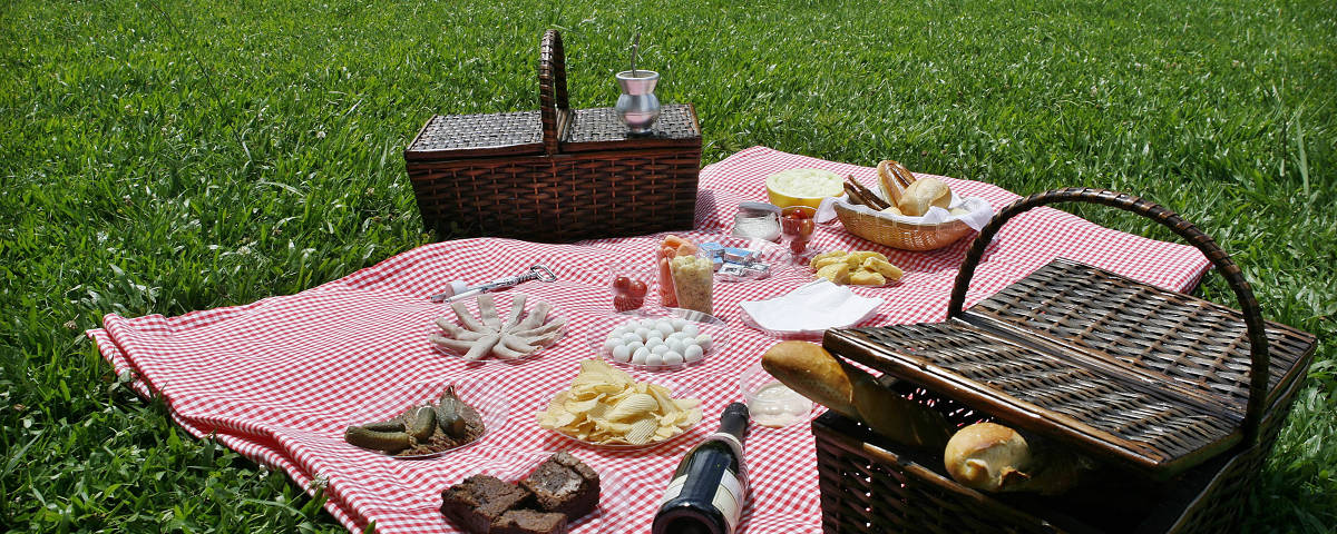 GASTRONOMIA.PIQUENIQUE