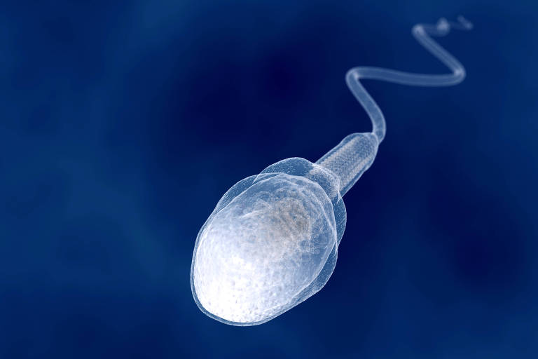 Cada ano do homem significa 1,51 nova mutao no esperma, quatro vezes mais que nas mulheres