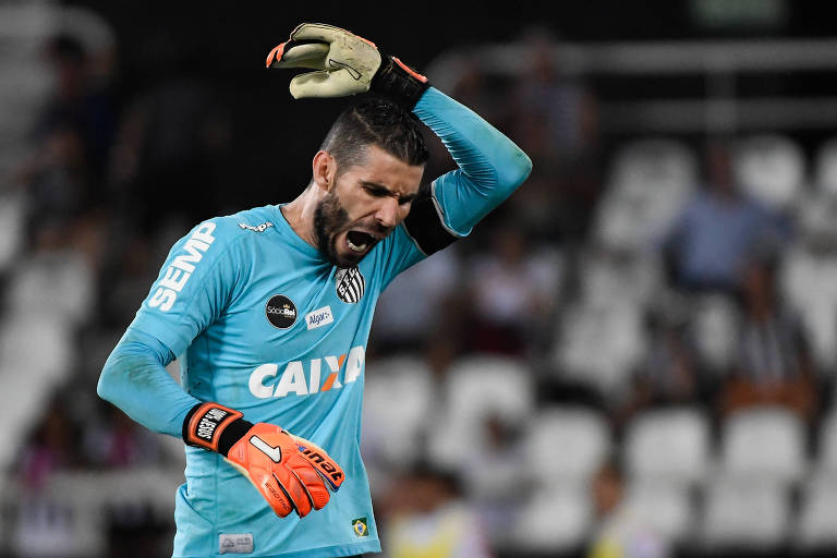 Partida entre Botafogo e Santos pela Serie A do Campeonato Brasileiro 2017.