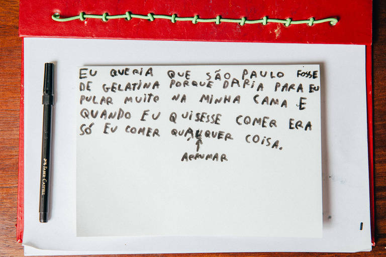 So Paulo, SP, Brasil, 13-09-2017: Dia das crianas revista sopaulo. Caio Baharlia, 8 anos. (foto Gabriel Cabral/Folhapress)