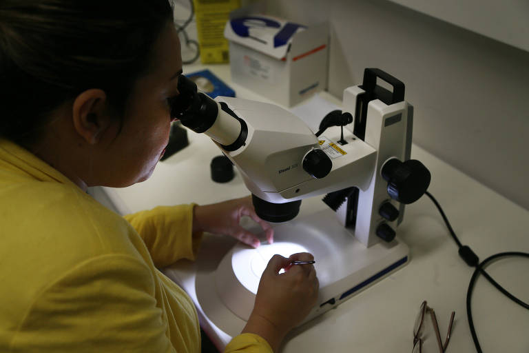 Pesquisadora analisa amostra com auxlio de microscpio