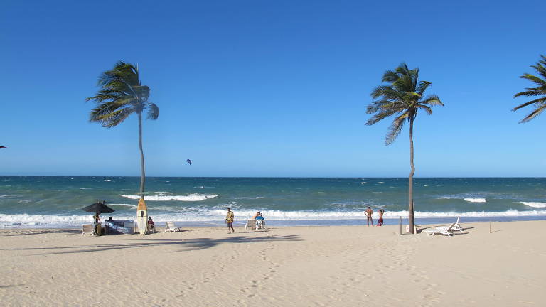 Praia com coqueiros 