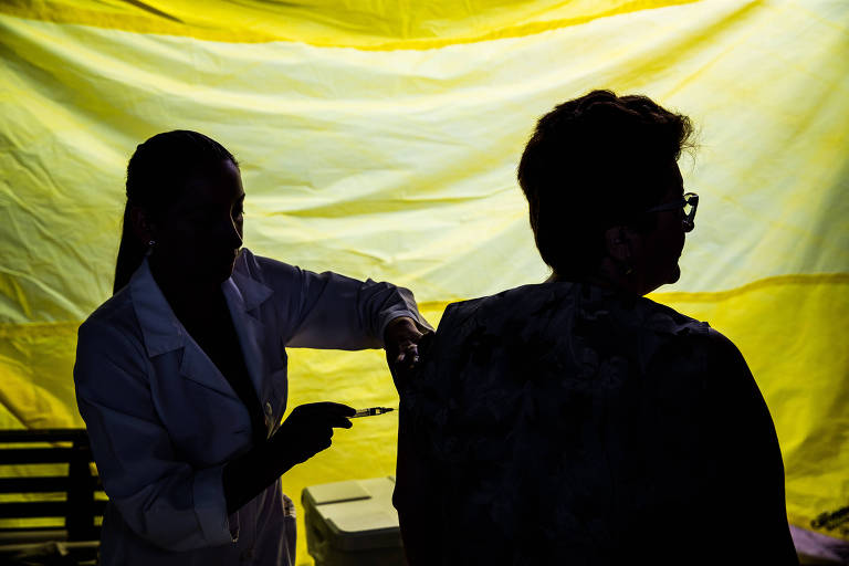 Vírus da febre amarela chega ao Sul e preocupa estados com baixa vacinação