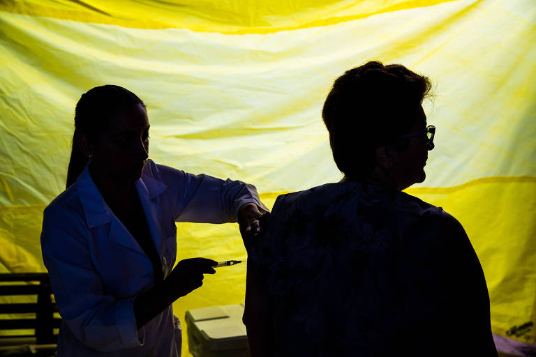 Ministério planeja estender vacinação da febre amarela para todo o país