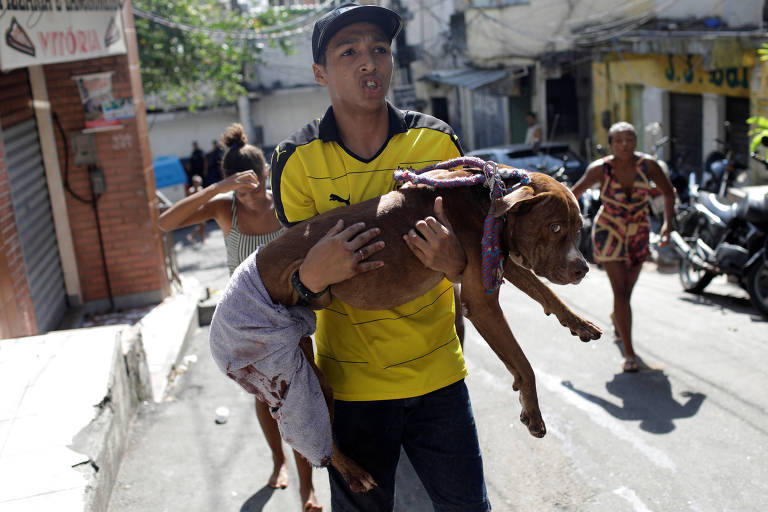 Morador da Rocinha carrega cachorro supostamente ferido durante tiroteio na favela; três suspeitos foram feridos e um preso