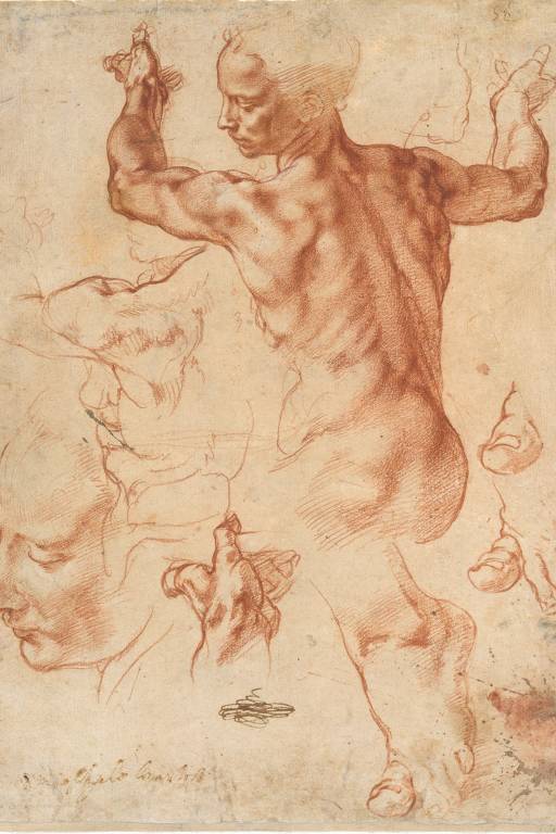 "Estudos para a Sibila Líbia no Teto da Capela Sistina", de Michelangelo, exposto no Metropolitan, em Nova York
