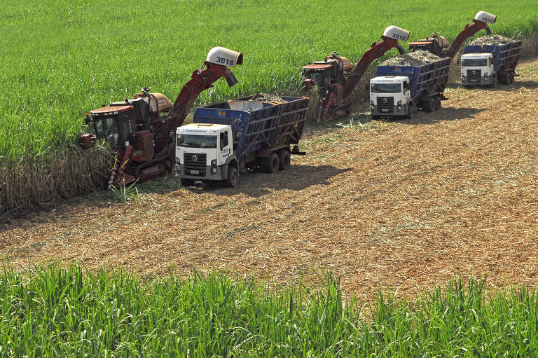 Máquinas agrícolas durante colheita de cana-de-açúcar no interior de São Paulo