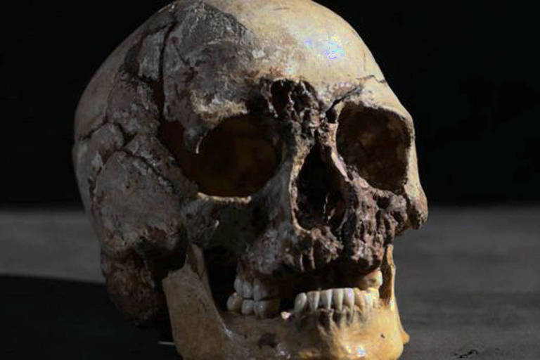 Crânio do qual foi retirado o DNA para reconstituição do Homem de Cheddar