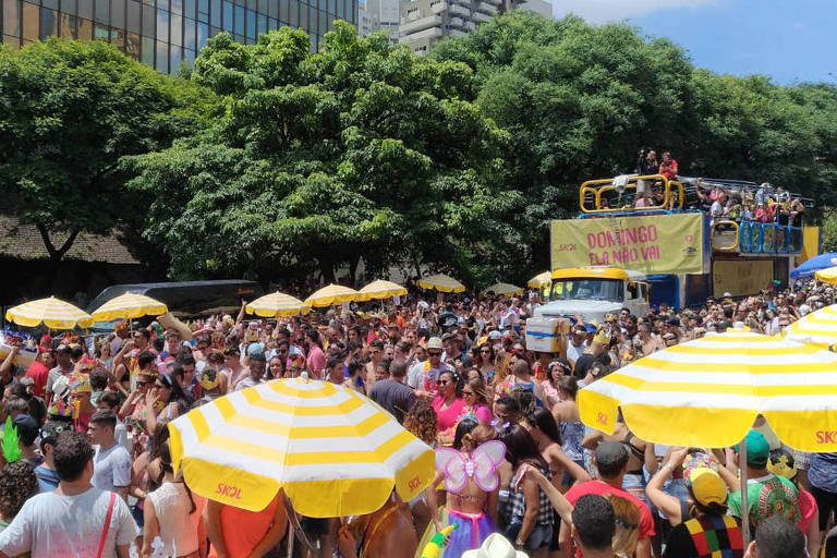 Domingo Ela No Vai j desfila pela avenida 23 de maio 