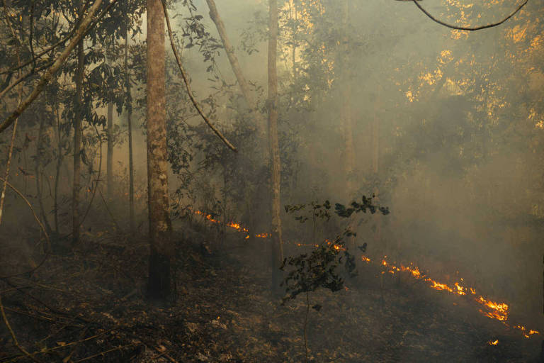 Queimada na Amazônia, registrada durante operação do Ibama