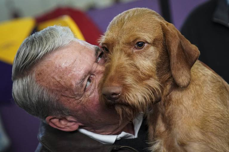Westminster Dog Show Bbc Westminster Dog Show Bbc