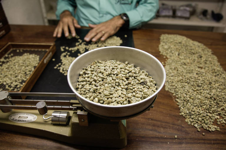 Produtor de café em Alfenas, sul de Minas Gerais