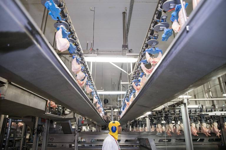 Funcionário em processadora de carnes em Goiás; produção na indústria de alimentos caiu 4,9% em março 