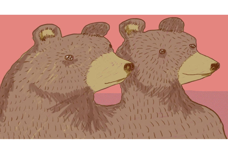 Ilustração de dois ursos