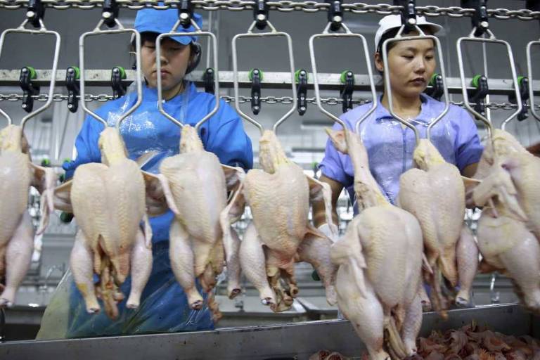 Funcionários em linha de processamento de frango na China