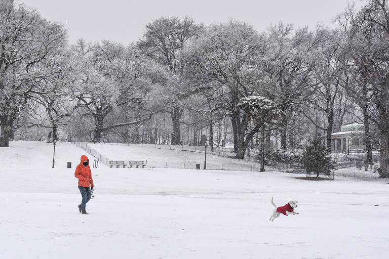 neve #frio #incrivel #perfeito #quetudo #muitofrio #newyork #novayork  #muitaneve #queincrivel #eua