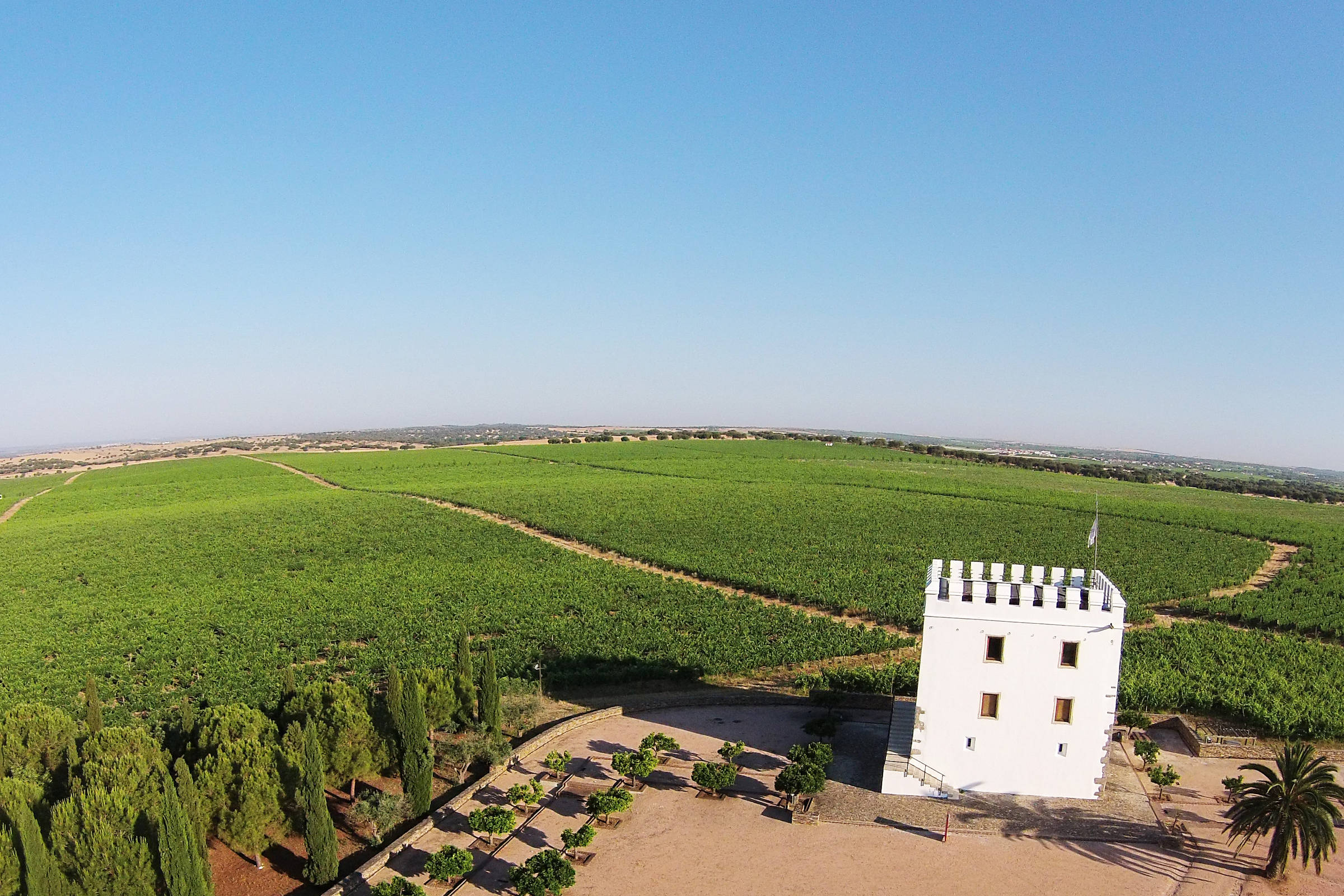 Guia dos Vinhedos de Portugal Top de Portugal Porto Douro Dão Vinhos verdes  Alentejo Vinho Madeira © Top de Portugal