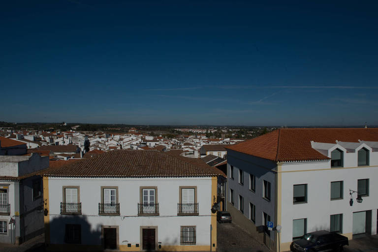 Turismo de vinhos e azeites em Portugal  