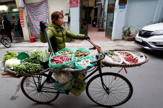 A woman transports vegetables for sale on a street in Hanoi