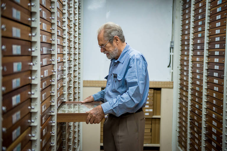 O professor Olaf Mielke, 77, na Universidade Federal do Paraná, onde armazena sua coleção com 425 mil lepidópteros