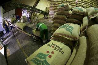 FILE PHOTO: A worker loads a 60-kg jute bag of coffee beans for export onto a belt in a coffee warehouse in Santos