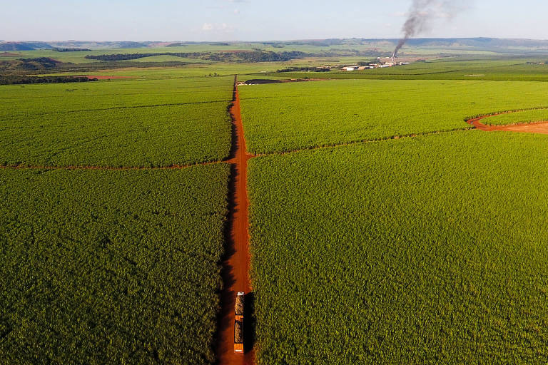 Imagem feita com drone mostra lavoura de cana-de-açúcar cortada por uma estrada de terra, por onde passa um caminhão