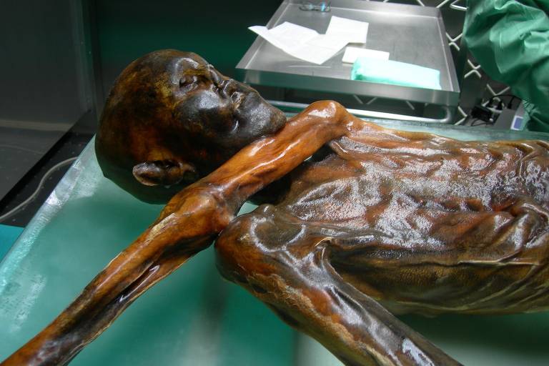 Ötzi, o 'homem das neves', era calvo e de pele mais escura do que se pensava