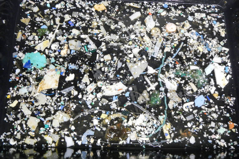 Amostras plásticas coletadas pela The Ocean Cleanup's Mega Expedition, em 2015