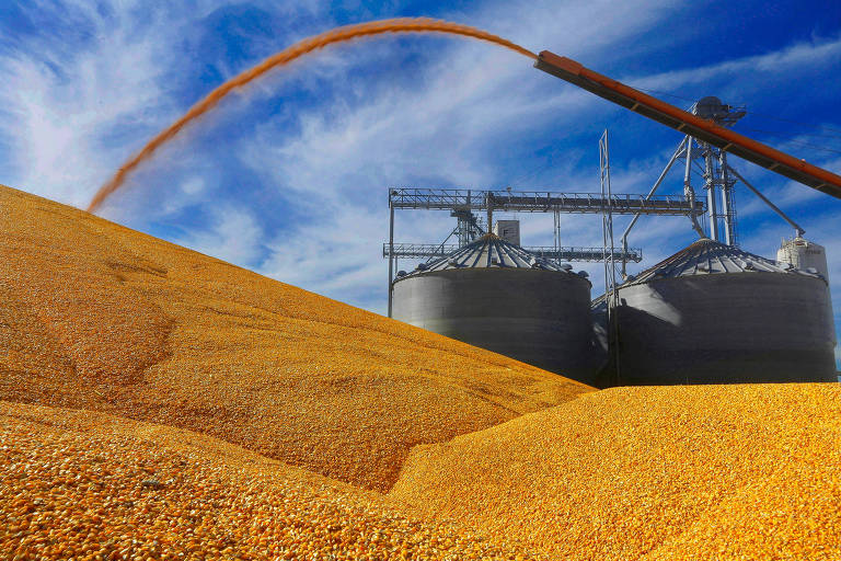 Estoque de milho em Illinois, nos EUA; estimativa é que plantio ocupe área menor no período 2018/19