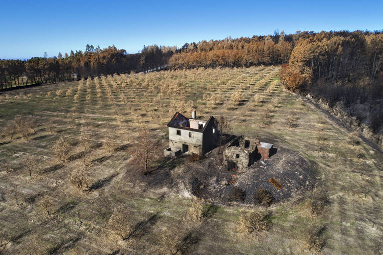 Propriedade rural em Chamusca da Beira completamente destruída pelos incêndios florestais que atingiram a região central de Portugal no ano passado