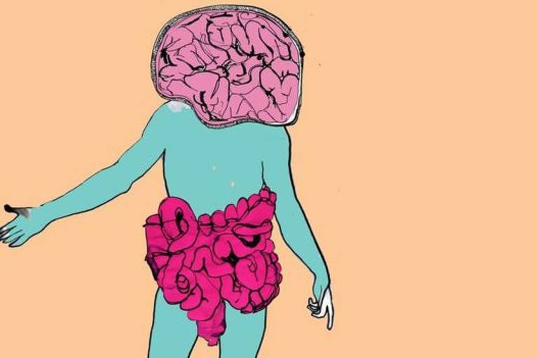 Corpo humano com cérebro e intestino destacados, em tamanho maior