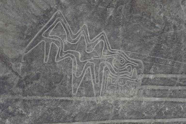 Imagem zoomorfa em Nazca