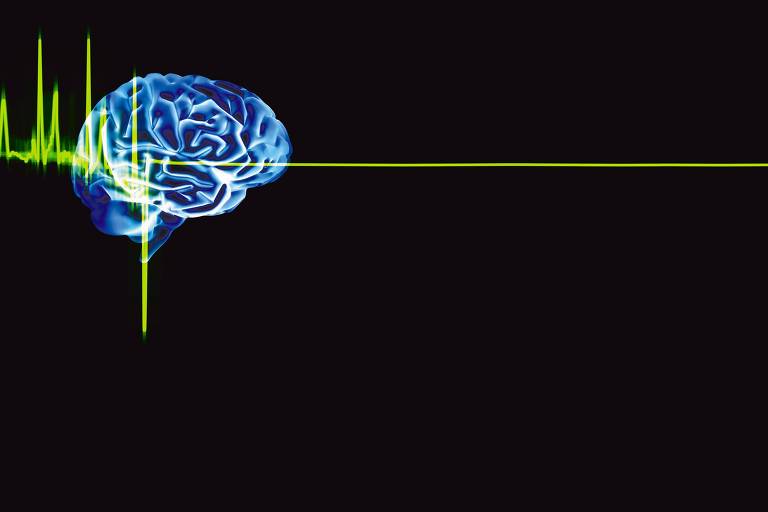 Montagem feita no laboratório de Neurociência de Miguel Nicolelis na Universidade Duke (Carolina do Norte, EUA), que mostra um cérebro humano. 