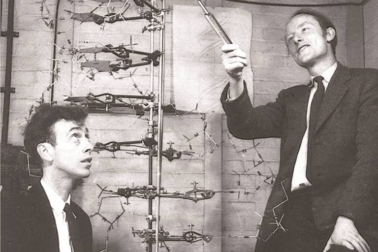 Os cientistas Francis Crick (à dir.) e James Watson, codescobridores da estrutura do DNA, expõem seu estudo em uma foto feita por volta de 1953