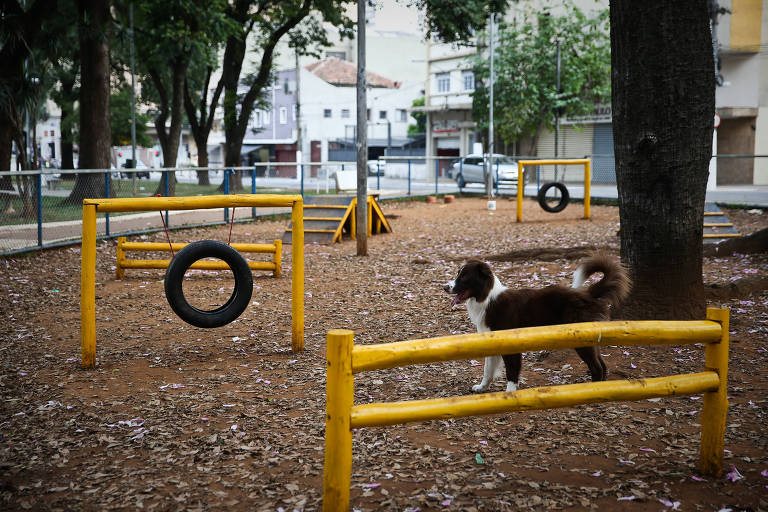 DEPOIS: com quadra e parque, praça Princesa Isabel renasce com esporte e crianças após se tornar o centro da cracolândia no ano passado